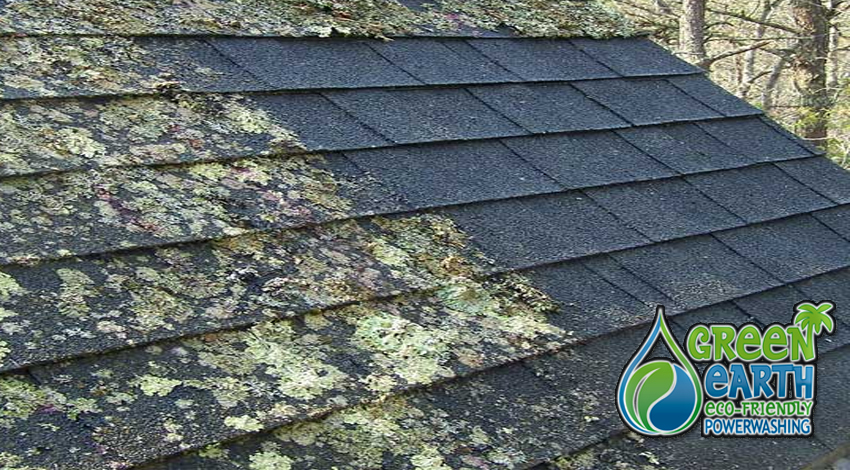 Palm Beach Roof Cleaning