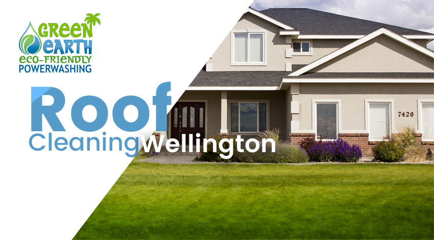 Roof Cleaning Wellington